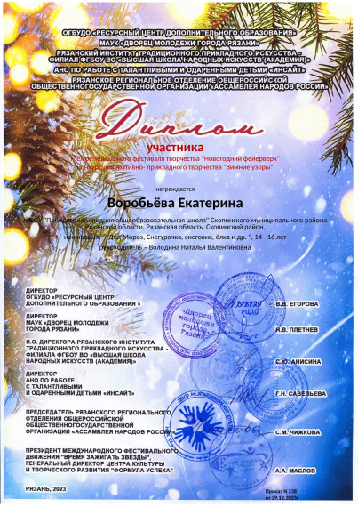 Новогодний фейерверк..